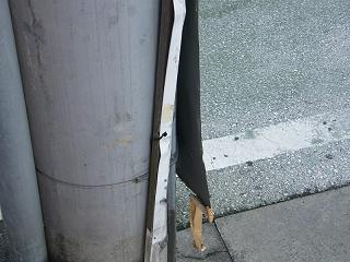 202003s.jpg 800x600 185KB 