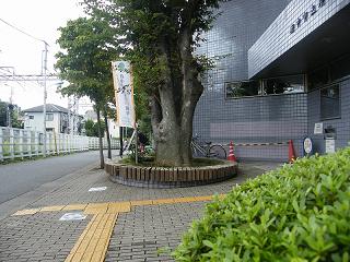 100024s.jpg 800x600 226KB 