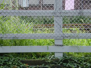 100025s.jpg 800x600 261KB 