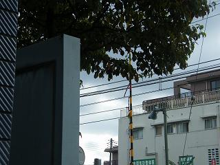 103005s.jpg 800x600 152KB 