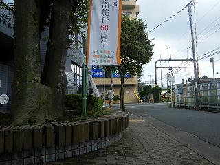 103036s.jpg 800x600 185KB 