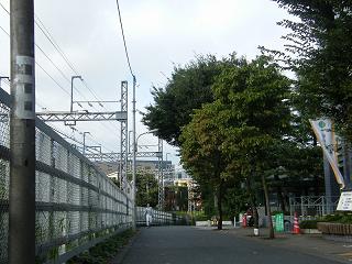 103042s.jpg 800x600 202KB 