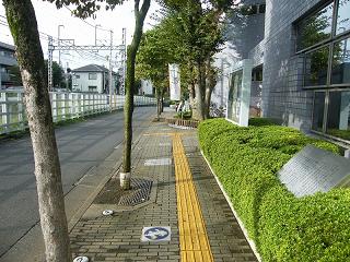 112004s.jpg 800x600 275KB 