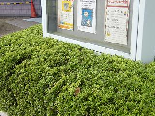 112018s.jpg 800x600 280KB 