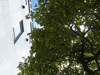 112027s.jpg 800x600 238KB 