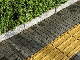 112031s.jpg 800x600 297KB 