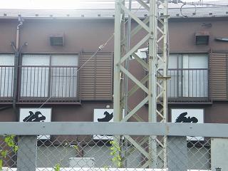 112036s.jpg 800x600 152KB 