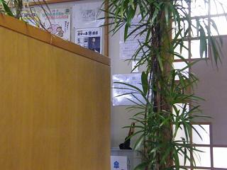 103045s.jpg 800x600 141KB 