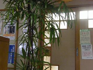 103064s.jpg 800x600 163KB 