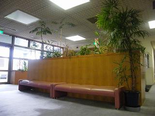 207002s.jpg 800x600 150KB 