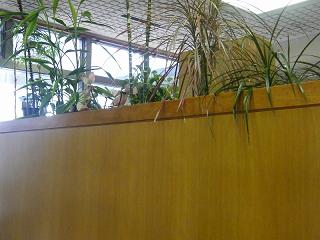 207004s.jpg 800x600 156KB 