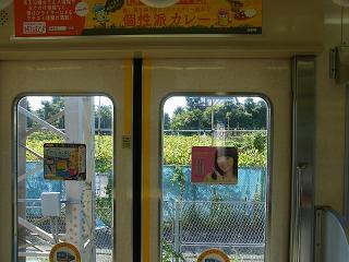 100016s.jpg 800x600 170KB 