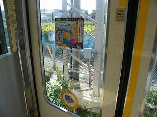 206019s.jpg 800x600 161KB 