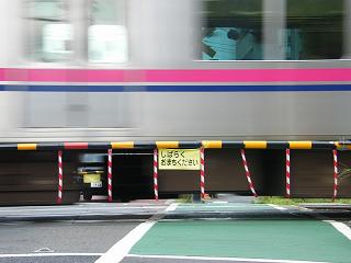 101047s.jpg 800x600 113KB 