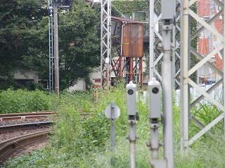 103033s.jpg 800x600 197KB 