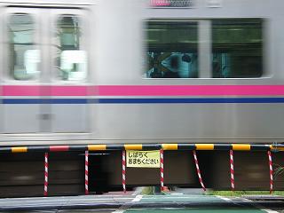 200022s.jpg 800x600 114KB 