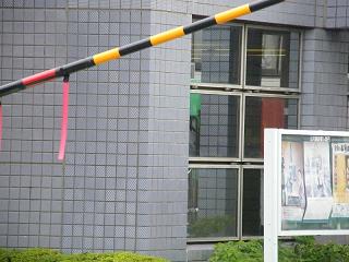 200026s.jpg 800x600 166KB 