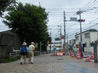 125035s.jpg 800x600 213KB 