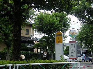 125039s.jpg 800x600 241KB 