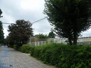 125041s.jpg 800x600 203KB 