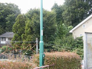 103053s.jpg 800x600 283KB 