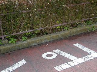 103055s.jpg 800x600 265KB 