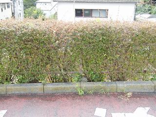 103056s.jpg 800x600 290KB 