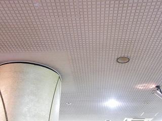 118130s.jpg 800x600 145KB 