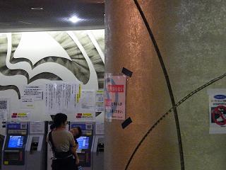 118132s.jpg 800x600 159KB 