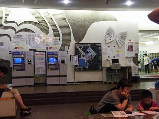 119127s.jpg 800x600 147KB 