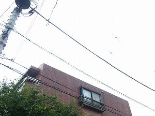 121001s.jpg 800x600 127KB 