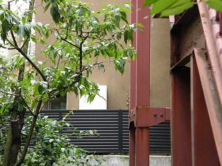 121136s.jpg 800x600 209KB 