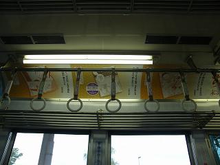 DSCF8656.jpg 800x600 113KB 