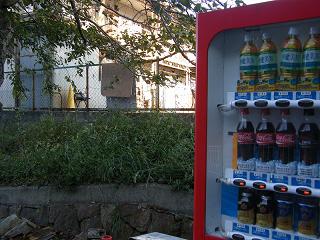 00046s.jpg 800x600 218KB 