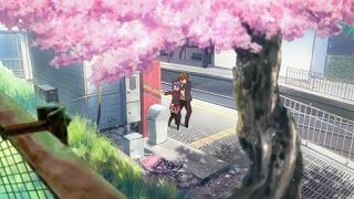 01216.jpg 512x288 55KB 