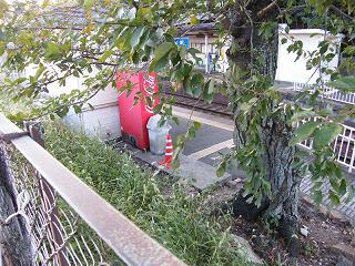 01216s.jpg 800x600 299KB 