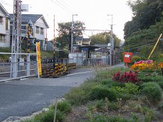 06113s.jpg 800x600 221KB 