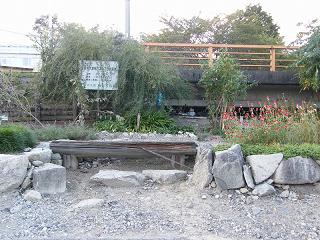 06125s.jpg 800x600 262KB 