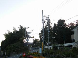 06132s.jpg 800x600 133KB 