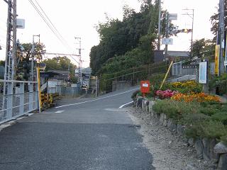 06142s.jpg 800x600 202KB 