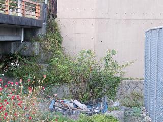 06143s.jpg 800x600 227KB 