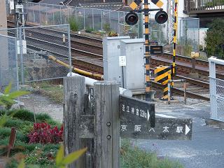 06146s.jpg 800x600 236KB 