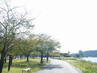 08123s.jpg 800x600 193KB 