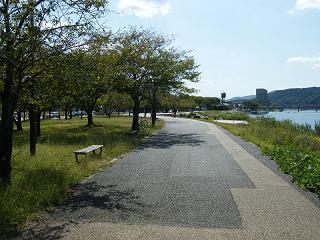 08124s.jpg 800x600 239KB 