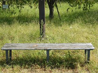 08130s.jpg 800x600 334KB 