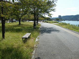 08133s.jpg 800x600 283KB 