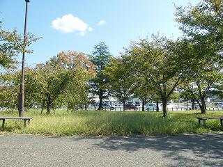 08141s.jpg 800x600 279KB 