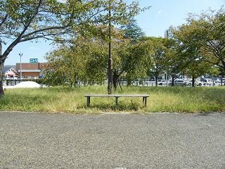 08145s.jpg 800x600 325KB 