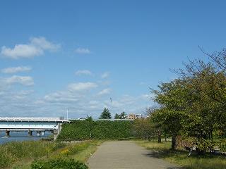 l01010s.jpg 800x600 148KB 