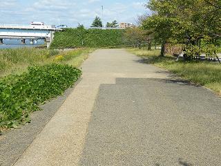 l01011s.jpg 800x600 267KB 